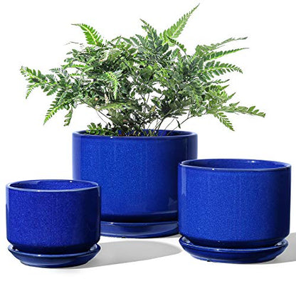 LE TAUCI Ceramic Plant Pots, 4.3+5.3+6.8 inch, Set of 3, Planters with Drainage Hole and Saucer, Indoor Flower Pot with Hole Mesh Pad, Gifts for Mom, Sapphire Blue - color: Sapphire Blue
