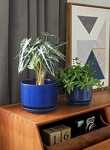 LE TAUCI Ceramic Plant Pots, 4.3+5.3+6.8 inch, Set of 3, Planters with Drainage Hole and Saucer, Indoor Flower Pot with Hole Mesh Pad, Gifts for Mom, Sapphire Blue - color: Sapphire Blue