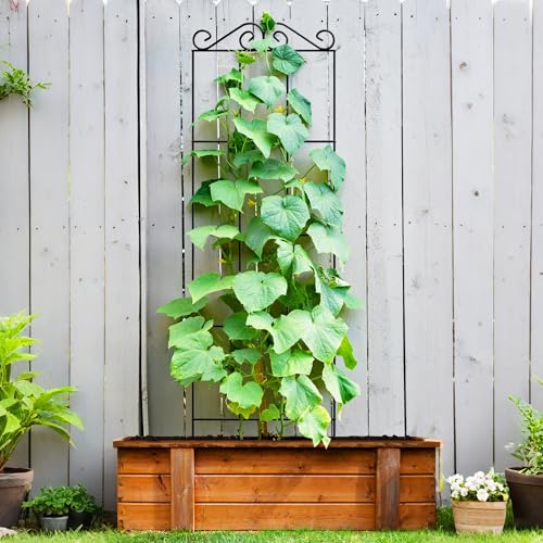 ARIFARO 4Pack 47'' Metal Garden Trellis for Climbing Plants Outdoor | Thicken Steel Trellis, For Indoor/Outdoor, Tomato, Cucumber, Rose, Flower, Potted Plants, Houseplants, Climbing Vines, Black - size: 47 inches