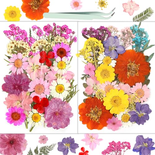 Dried Flowers, Resiners 58Pcs Pressed Flowers for Craft - color: Berry Red 58pcs