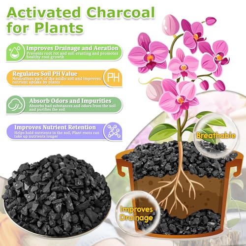 Legigo 8 QT Horticultural Charcoal- Natural Biochar Soil Amendment - size: 8 QT