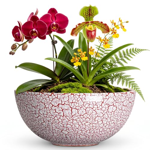 Bowl Planter 10 Inch, Ceramic Bonsai Tree Pots, Texture Red | Round Succulent Planters with Drainage Hole, Shallow Flower Bowl for Indoor Plants, Balcony Decor, Gifts for Gardeners - color: Texture Red-1, size: 10 Inch