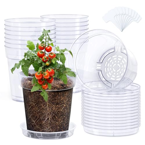 homenote 6.7 Inch Clear Nursery Pots 14 Pack with 14 Saucers and 10 Labels | Thick rigid plastic pots provide clear root visibility and upgraded drainage for orchids, herbs, tomatoes, and seedlings. - color: Without Humidity Domes, size: 6.7 INCH