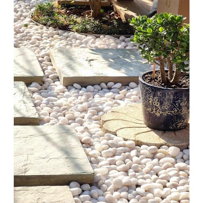 FANTIAN 10 lbs White Pebbles for Indoor Plants, 0.8-1.2 Inch Small White River Rocks Stones for Planters, Vases, Fish Tank, Garden, Landscaping, Top Dressing and Bottem Drainage - size: 0.8-1.2 Inch, style: 10 Pounds