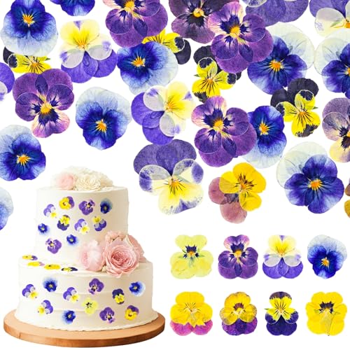 96 Pcs Pressed Edible Flowers, Purple, Flower Style | Natural Dried Flowers for Cake Topper Cupcake, Cocktails Garnish, Resin Jewelry DIY, Soap, Candle Making Art Crafts - color: Purple, style: Flower Style