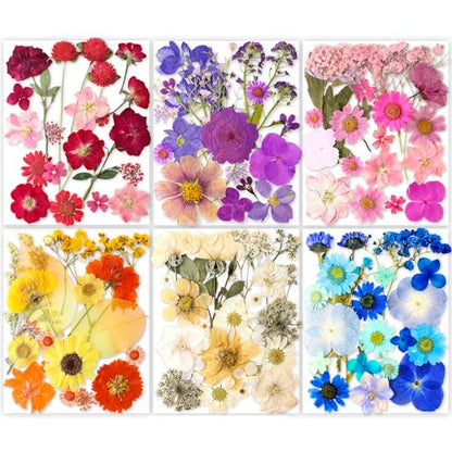 221PCS Real Nature Dried Pressed Flowers for Resin Craft, Dry Pressing Floral with Butterfly Transparent Stickers Set for DIY Jewelry Making Nail Card Scrapbook Art Eternity Summer - color: Eternity Summer
