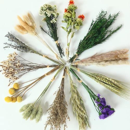 13 Kinds Mini Dried Flower Bouquet, 5-8" Boho Brown for Crafts, Vase Filler - color: Brown