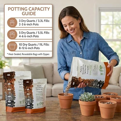 Molly's Succulent Potting Mix, Cactus and Bonsai Gritty Blend, 5 Dry Quarts - size: 5 Dry Quarts, style: Succulents & Cacti