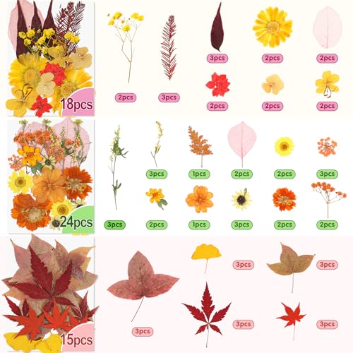 Real Dried Pressed Flowers for Crafts, 100+ PCS Fall Dried Flowers Leaves Nature Flowers Florals Set with Tweezer for Resin Jewelry Making Thanksgiving DIY Candle Scrapbooking Gift (Orange, Yellow) - size: 100 Pcs Pressed Dried Flowers with Tweezers