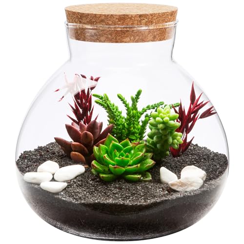 Toddmomy 1pcs Small Glass Plant Terrarium,Desktop Glass Succulent Plant Terrarium with Wooden Lid for Home, Garden, Office Decoration