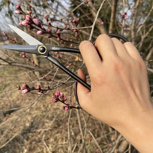 8 Inch Full-Steel Forged, Bonsai Small Branch Shears for Delicate Shoots and Leaves