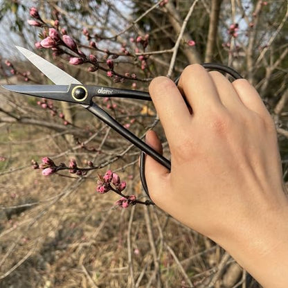 8 Inch Full-Steel Forged, Bonsai Small Branch Shears for Delicate Shoots and Leaves