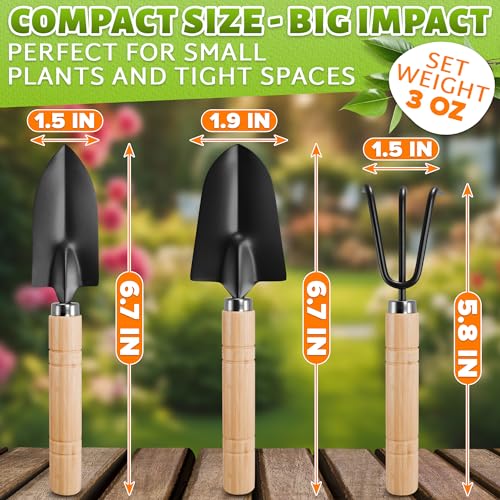 3 Pcs Mini Garden Tools, Shovel, Rake, Wooden Handles, Steel Heads | Small Gardening Tools Set, Tiny Trowel for Transplanting, Repotting and Planting, for Indoor Plants, Succulents and Bonsai - color: Black Set of 3