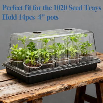 1020 Seed Starting Trays with Tall 7.3" Humidity Dome, No Hole, 5-Pack | Heavy Duty Plant Tray with High Lid for Taller Seedlings, Large Seed Growing Kit, Mini Greenhouse for Indoor Seed Germination - size: 5p 1020Trays+7.3''Domes