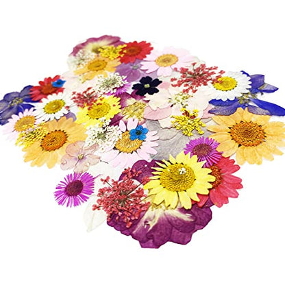Cayway 42 Pcs Real Pressed Flowers Dry with Tweezers Set, Dried Pressed Flowers Colorful Real Pressed Flowers for Resin Scrapbooking DIY Art Crafts, Epoxy Resin Jewelry, Soap Making - color: 1 Packs Style a