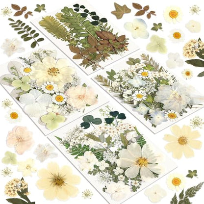 Dried Flowers, Resiners 100Pcs Pressed Flowers for Craft | White Real Natural Dried Flowers Dry Leaves Kit for DIY Making Craft Resin Soap Candle Scrapbook Supplies Card Making Jewelry - color: Ivory White 100pcs
