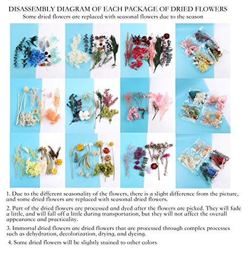 4 Packs Real Natural Dried Flowers for Making Mobile Phone Case Candle Handmade Crafts Epoxy Resin Pendant Necklace Jewelry DIY Accessories,Mixed Multi-Color Dried Flowers(Random Shipping 4 Packs)