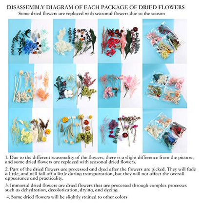 4 Packs Real Natural Dried Flowers for Making Mobile Phone Case Candle Handmade Crafts Epoxy Resin Pendant Necklace Jewelry DIY Accessories,Mixed Multi-Color Dried Flowers(Random Shipping 4 Packs)
