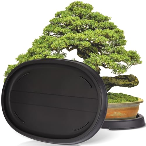 Pinkunn 2 Pcs Bonsai Humidity Drip Tray for Plants,16.3 x 10.8 Inch - size: 16.3 x 10.8 Inch