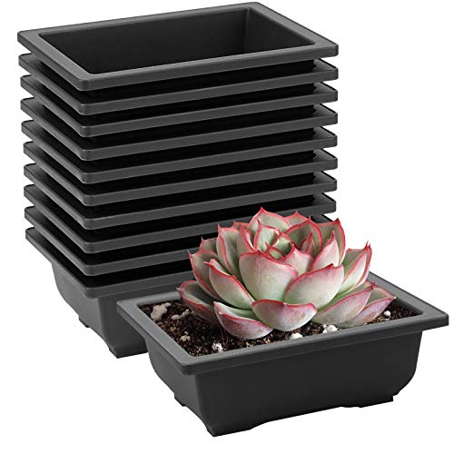 HOZEON 30 Pack 6.5 Inch Rectangular Plastic Bonsai Training Pots, Premium Growing Plant Pot, Flower Succulent Bonsai Pots Container for Garden, Yard, Office, Balcony, Home Decorative, Indoor, Outdoor