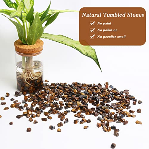 QICQDRAM Polished Gem Stones Rocks Tiger's Eye Crystals Chips Natural 1LB | Small Tumbled Stones Crystal Chips Bulk for Healing Crystals Fish Tank Gravel Vase Filler (405g/14.28oz) - color: Tiger's Eye, size: 1LB