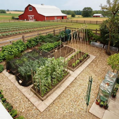Natural Bamboo Plant Stake, （4FT 50Pcs） Sturdy Bamboo Poles, Durable Plant Bamboo Stake, Garden Climbing Plant Bracket. - size: 4ft-50pcs