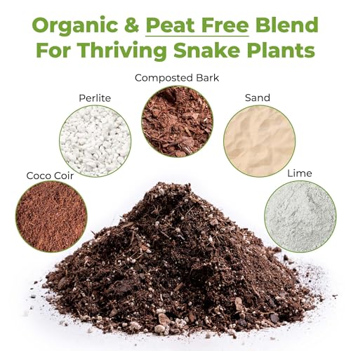 Perfect Plants Snake Plant Soil, 4 qt, Coco Coir Potting Mix - size: 4qt.