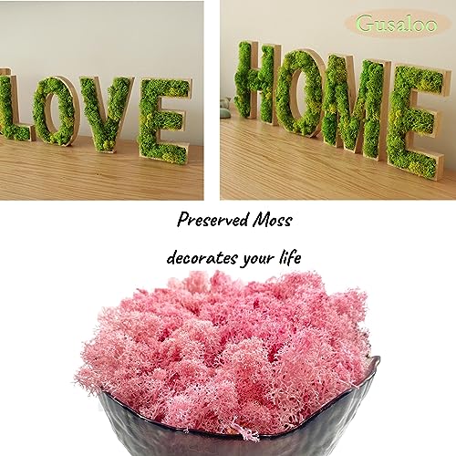 Preserved Reindeer Moss for Potted Plants, Light Pink - color: Lightpink, size: 3.5oz