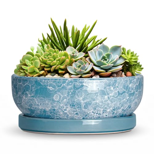 Succulent Planter 8 Inch, Ceramic Bonsai Planter, Droplet Blue - color: Droplet Blue, size: 8 Inch