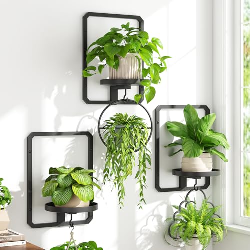iDavosic.ly Wall Plant Picture Frame Holder Set of 3 for Indoor, Black - color: Black, 3-Pack, size: Rectangular