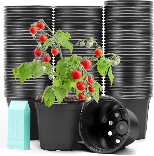 100 Pack Plant Nursery Pots 4 inch Plastic Plant Pots, Durable Reusable Seed Starting Pots for Succulents Plants Vegetables Fruits Seedlings Cuttings Transplanting with 100 Plant Labels (Black) - color: Black（100 Labels+100 Pots）