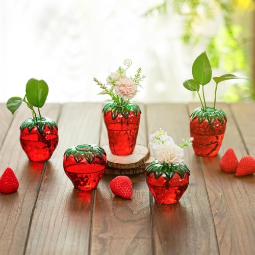 Glasseam Strawberry Glass Vases, 5Pcs Handblown Cute Plant Propagation Vase