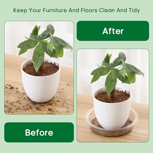 JERIA 8 Inch 20 Pack Clear Plant Saucers,Plastic Flower Pot Trays,Round Durable Plant Drip Trays for Indoor and Outdoor - size: 8 Inch (20 Pack)