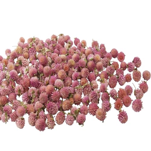 CITYES 220 Pcs Dried Flowers Heads for Crafts Pink Globe Amaranth Natural Dried Gomphrena Globosa Flower Bulk Dry Flower Arrangements for Wedding Decor Home Party Headband DIY