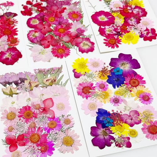 Cayway 170 PCS Dried Pressed Flower, Pressed Flowers and Leaves for Resin, Real Nature Pressing Floral Leaves for DIY Craft, Jewelry Making, Candle Scrapbooking Supplies, Red - color: 170pcs-red