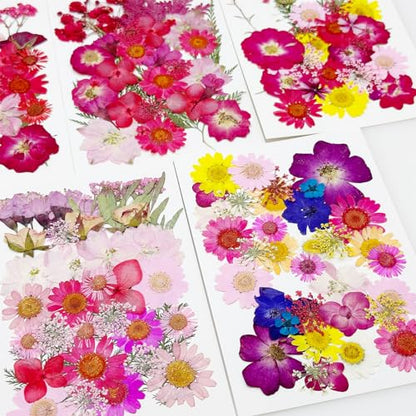 Cayway 170 PCS Dried Pressed Flower, Pressed Flowers and Leaves for Resin, Real Nature Pressing Floral Leaves for DIY Craft, Jewelry Making, Candle Scrapbooking Supplies, Red - color: 170pcs-red