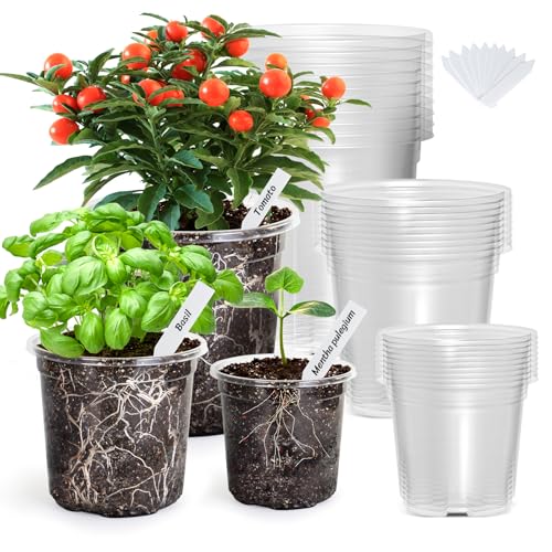 Clear Nursery Pots with Drainage Holes, 4/5/7 Inch, 30-Pack | Clear PET, 10 Each of 3 Sizes, Root and Moisture Visibility, Flexible, Reusable, Indoor Use, Propagation and Seed Starting - size: 4/5/6.7 Inch-without Lid