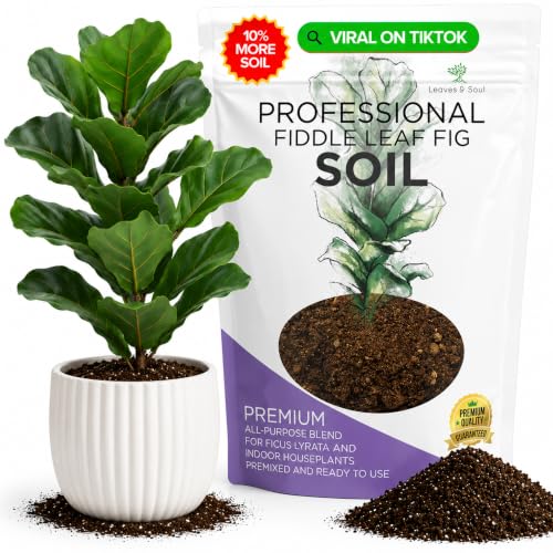 Professional Fiddle Leaf Fig Soil Mix 2.2 Qt Houseplant Soil for Gardens | Suitable as Potting Soil Indoor Plants, Potting Mix for Fiddle Leaf Fig; Blend of Peat Moss, Coco Coir, Perlite & Dolomite - color: Fiddle Leaf Fig Soil Blend, size: 2.2 Quarts