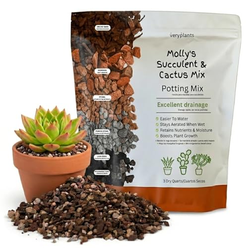 Molly's Succulent Potting Mix, Cactus and Bonsai Gritty Blend, 3 Dry Quarts - size: 3 Dry Quarts, style: Succulents & Cacti