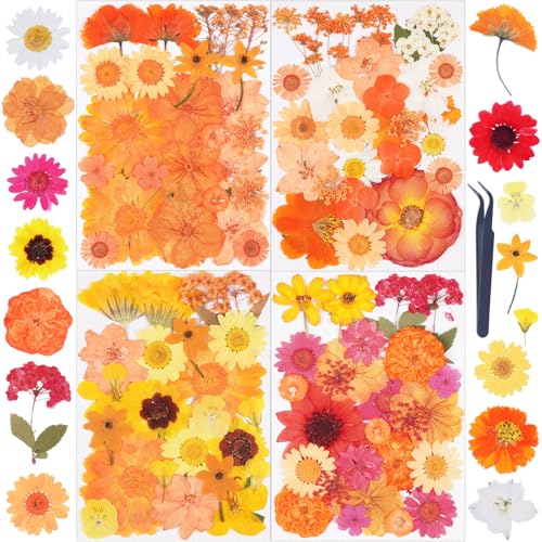 110Pcs Fall Dried Pressed Flowers for Crafts,Xinxinran Dry Flower Kit for Resin Molds,Epoxy Resin Accessories,Bookmark,Nails, Jewelry Molds,Candle Making Supplies,Soap,Frame - color: Fall Orange 110pcs