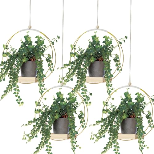 Geelin 4 Pack Plant Hanger with Wood Base Hanging Window Planter Boho Macrame Hanging Potted Plant Holders for Indoor Outdoor Window Wall Ceiling Home Decoration, Pot & Sapling Not Included(Gold) - color: Gold