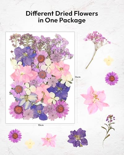 Dried Flowers, Resiners 58Pcs Pressed Flowers for Craft Purple Real Natural Dried Flowers Dry Leaves Kit for DIY Making Crafts Resin Soap Candle Scrapbook Supplies Card Making Jewelry - color: Violet 58pcs