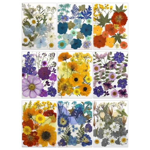 180Pcs Dried Pressed Flowers, Natural Dried Flowers Bulk for Resin, Mixed Color Dried Flowers for DIY Crafts, Candle Holders, Nails, Epoxy Resin Jewelry, Floral DIY Art, Decor, DIY Supplies Kits - color: 9 Color