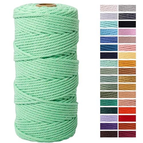 Aqua Green Macrame Cord 3mm x 109 Yards, Colored Cotton Rope Craft Cord for Wall Hanging, Plant Hangers, Crafts, Knitting, Decorative Projects - color: Aqua Green, size: 3mm x 109yards