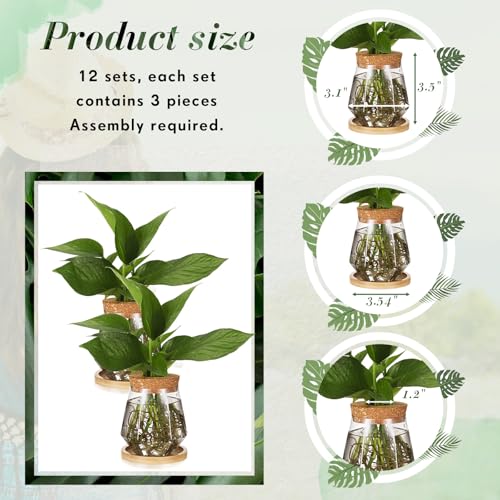 12 Packs Propagation Vases for Plants Plastic Plant Propagation with Hole Lid and Bamboo Stand Growing in Water Hydroponic Home Office Desktop Vase Decoration (Cup Style) - style: Cup Style