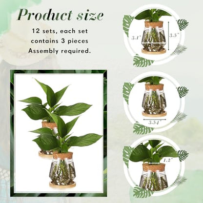 12 Packs Propagation Vases for Plants Plastic Plant Propagation with Hole Lid and Bamboo Stand Growing in Water Hydroponic Home Office Desktop Vase Decoration (Cup Style) - style: Cup Style