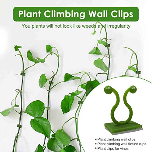 Plant Clips-Plant Climbing Wall Fixture Clips 110PCS, Invisible Clips For Climbing Plants，Self-Adhesive plant wall clips For Plant Support, Sticky Plant Fixture Clips Plant Holder For Pothos - size: Green clip