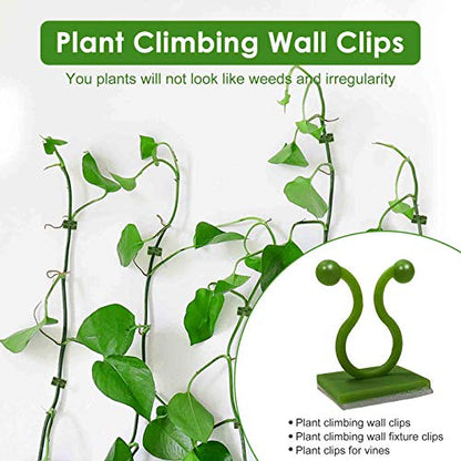 Plant Clips-Plant Climbing Wall Fixture Clips 110PCS, Invisible Clips For Climbing Plants，Self-Adhesive plant wall clips For Plant Support, Sticky Plant Fixture Clips Plant Holder For Pothos - size: Green clip