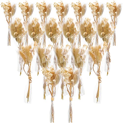 Roowest 20 Pcs Dried Baby's Breath Flowers, Mini Boho Bouquets for DIY | Wedding Envelope Decoration, Craft Projects, Photography Props, Rustic Boho Party, Scrapbooking Accents, Natural Floral Decor
