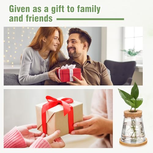 12 Packs Propagation Vases for Plants Plastic Plant Propagation with Hole Lid and Bamboo Stand Growing in Water Hydroponic Home Office Desktop Vase Decoration (Cute Style) - style: Cute Style